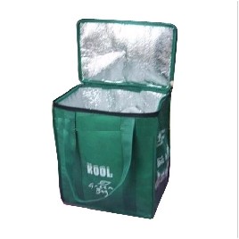 Lunch Box Cooler