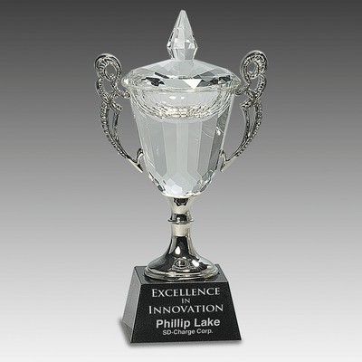 8" Crystal Cup with Silver Handles and Stem