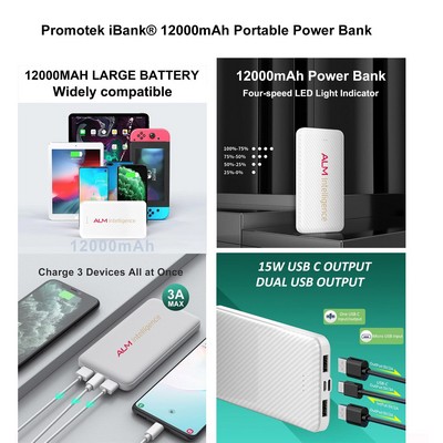 Promotek iBank® 12000mAh Portable Power Bank