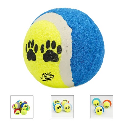 Pet Fetch Toy Tennis Ball